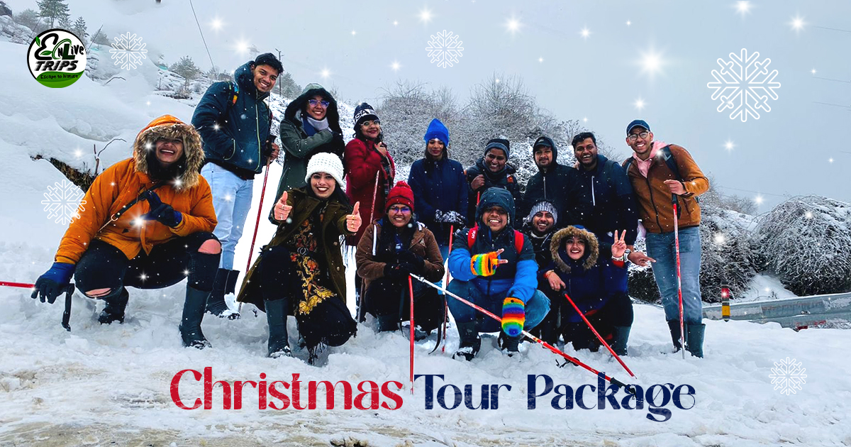 Christmas trip packages 2026
